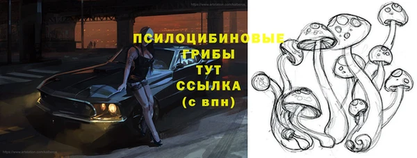 ALPHA PVP Алексин