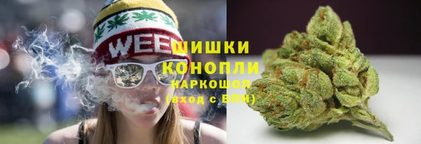 ГАЛЛЮЦИНОГЕННЫЕ ГРИБЫ Алзамай