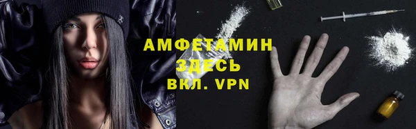 ГАЛЛЮЦИНОГЕННЫЕ ГРИБЫ Алзамай