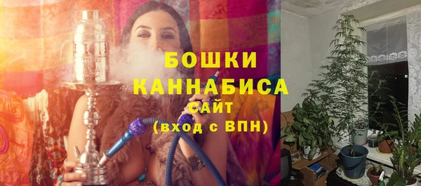 ГАЛЛЮЦИНОГЕННЫЕ ГРИБЫ Покачи