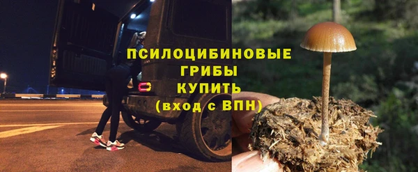 ALPHA PVP Алексин
