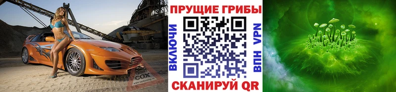 Галлюциногенные грибы прущие грибы  Лесной 